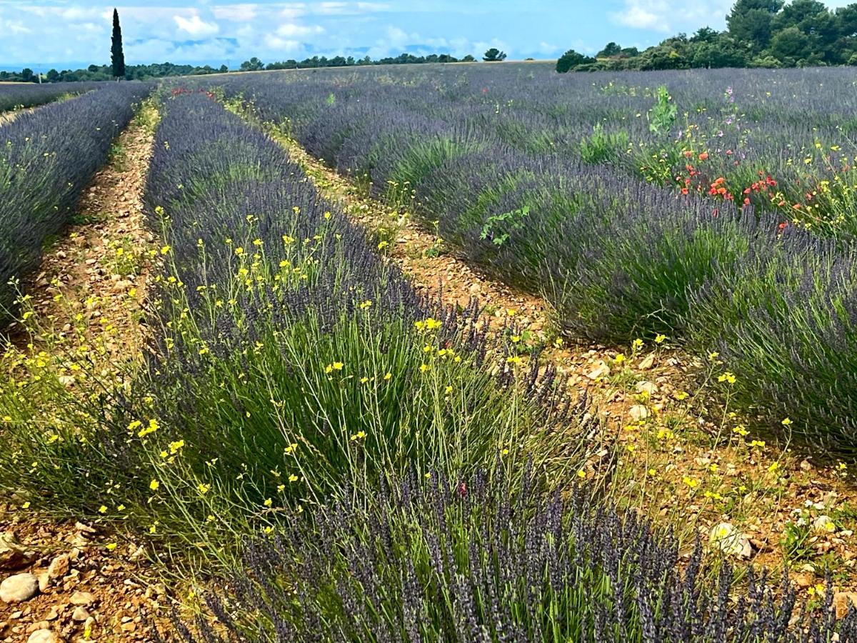 Gite Harmonie Gréoux-les-Bains Extérieur photo
