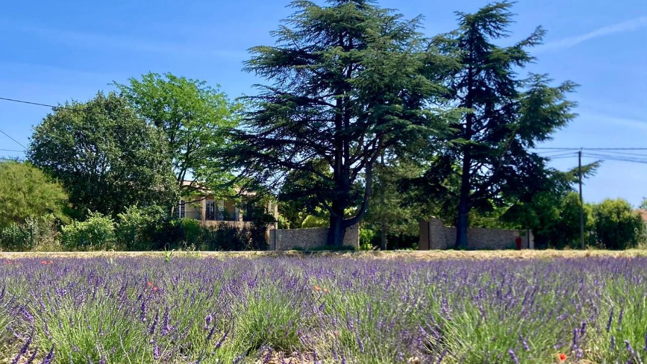 Gite Harmonie Gréoux-les-Bains Extérieur photo